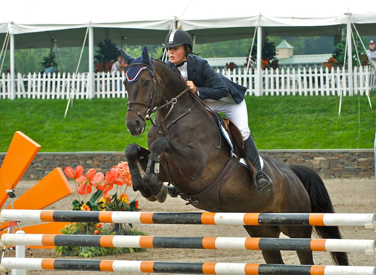 Equestrian horse jumping  936